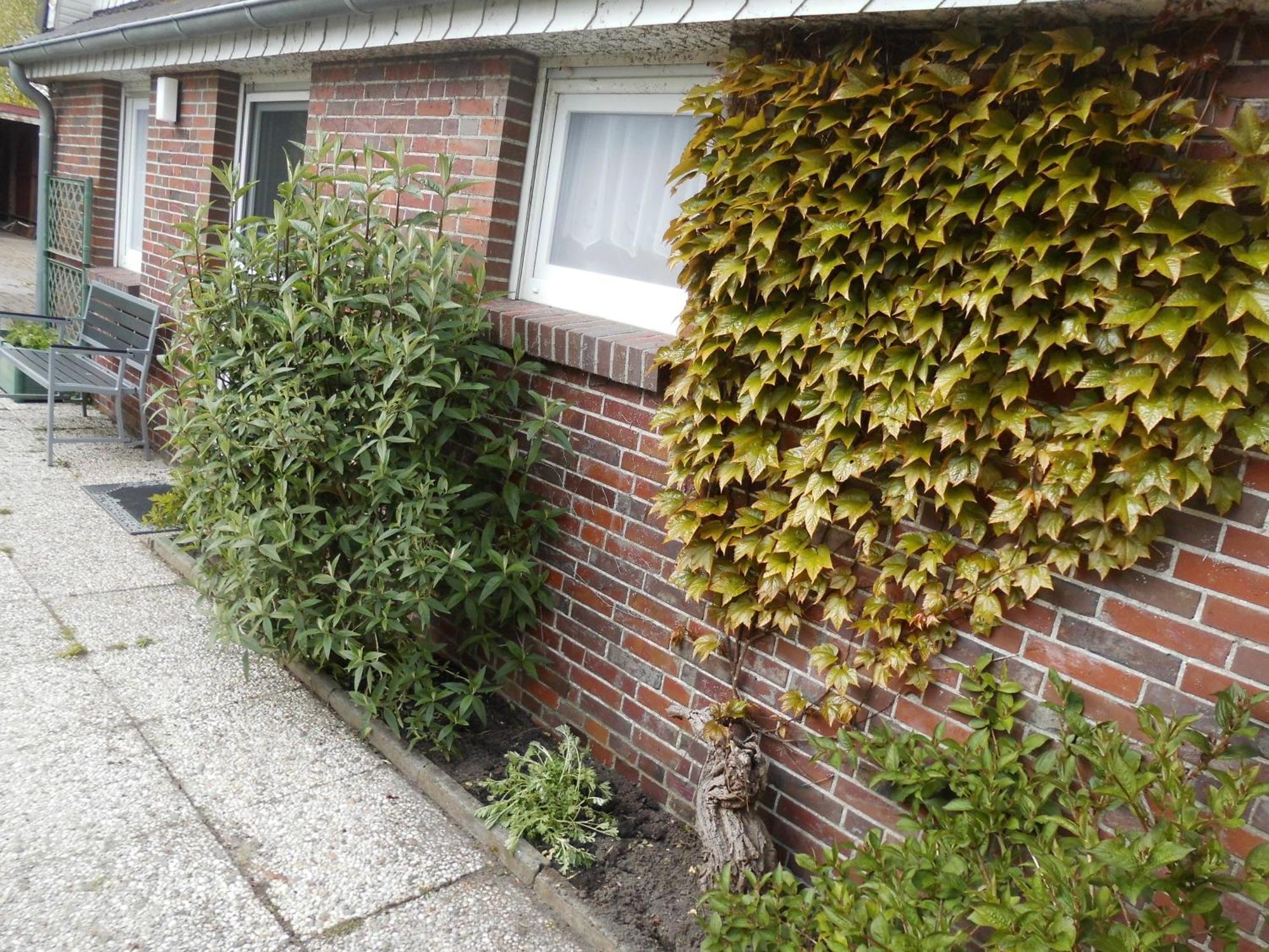 Moewennest Villa Neuharlingersiel Exterior photo
